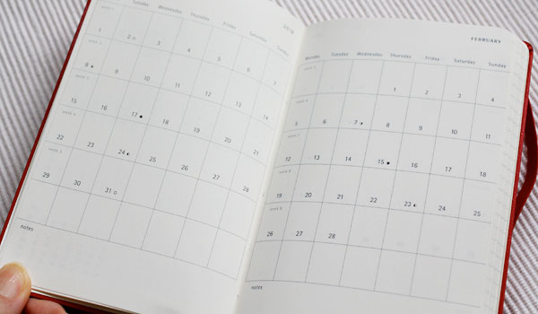 月間カレンダーのページ