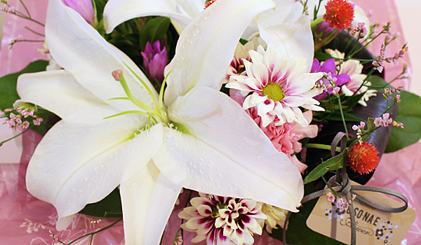 日比谷花壇のお供え花とペットの供養セット 通販フラワーギフト