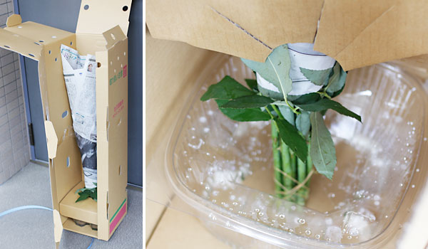 保水バケツ入りの花専用ボックス