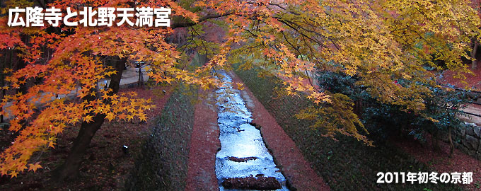 秋の京都 広隆寺と北野天満宮 御土居 観光グルメ旅