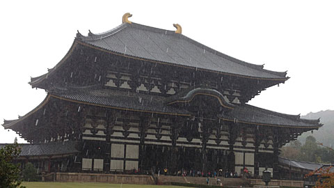 雨の大仏殿２